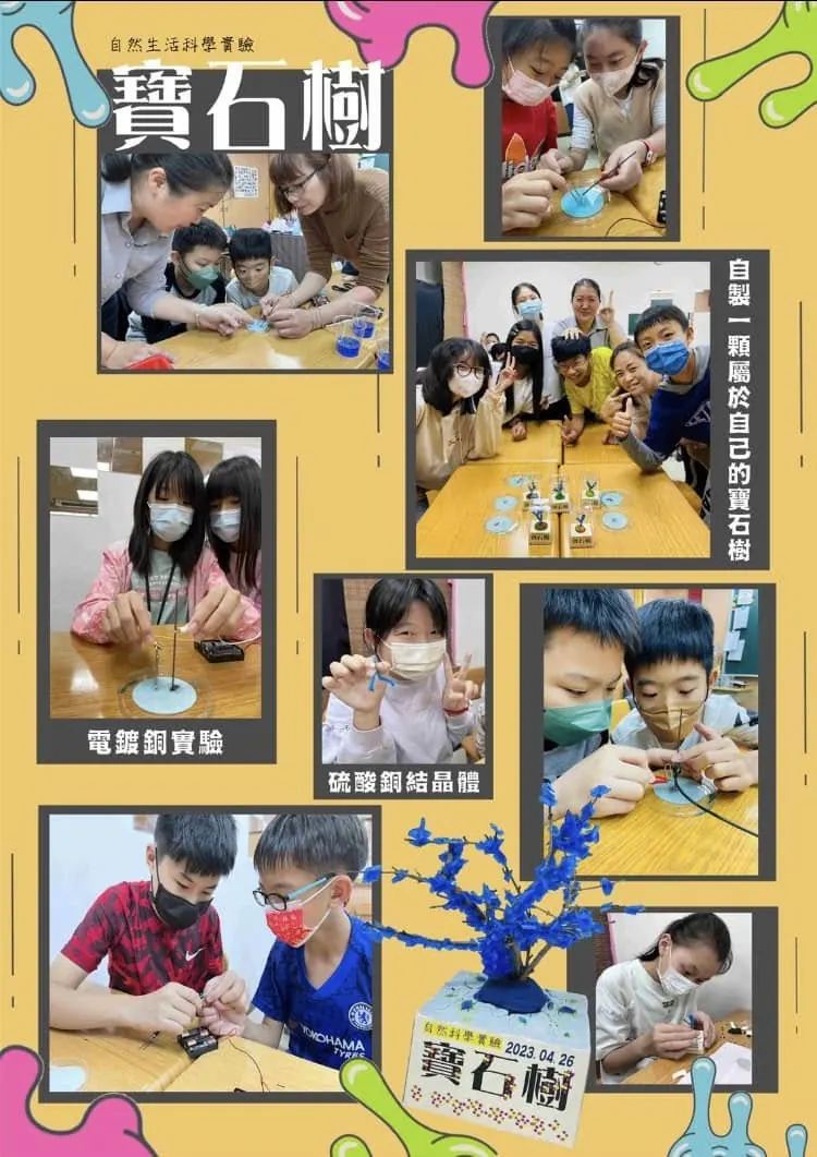 2023 年 4 月 26 日寶石樹自然生活科學活動海報